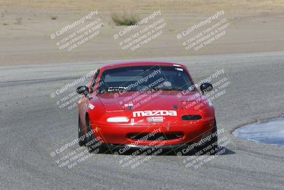 media/Nov-04-2023-CalClub SCCA (Sat) [[cb7353a443]]/Group 1/Cotton Corners (Race)/